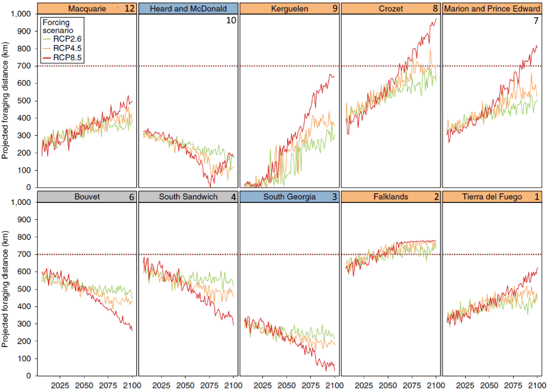 Conséquences du réchauffement climatique sur les populations du manchot royal Conséquences du réchauffement climatique sur les populations du manchot royal