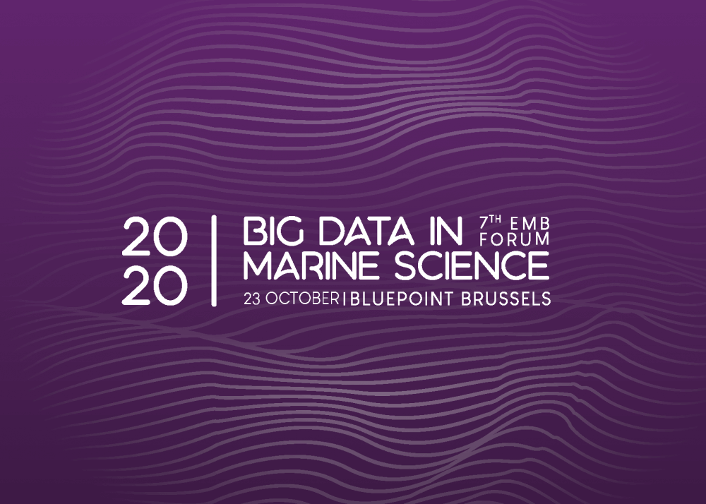 7th European Manie Board Forum : Big Data 