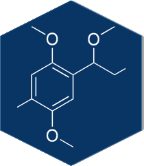 Marine biogeochemistry Marine biogeochemistry