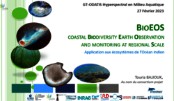 Présentation de Touria Bajjouk Coastal biodiversity earth observation and monitoring at regional scale