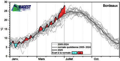 Température moyenne journalière (en °C) de la station du réseau MAGEST, en aval de Bordeaux 