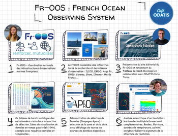 Le French Ocean Observing System - FrOOS - Aurore Mol&eacute;, Thierry Carval, Rapha&euml;lle Sauz&egrave;de