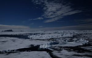 Banquise (glace de mer) photographiée pendant la campagne Green Edge au moment de la fonte printanière