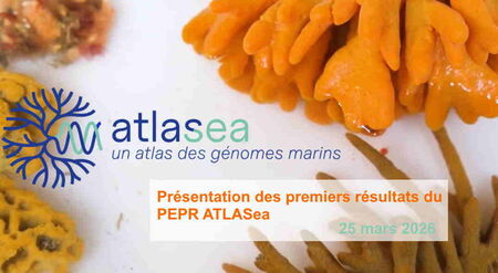 Premiers r&eacute;sultats du PEPR ATLASea