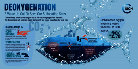 rapport de l'IUCN en 2019 sur la désoxygénation des océans