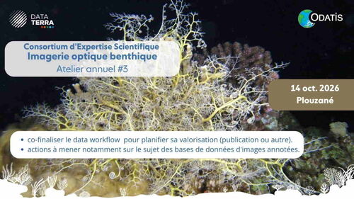 Atelier du CES Imagerie optique benthique du pôle Océan ODATIS