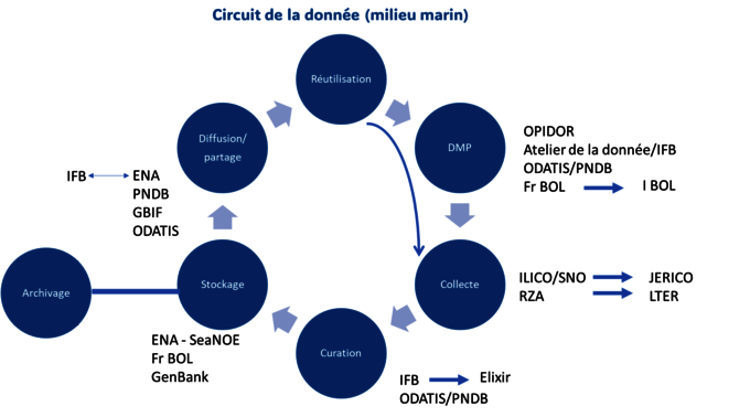 Schéma du cycle de vie de la donnée réalisée lors de l'atelier ODATIS-PNDB Bioinformatique