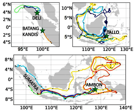 Exemples de trajectoires issues du modèle de dérives de débris marins