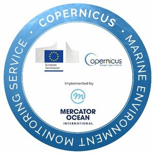 logo european copernicus marine service CMEMS
