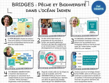 Caf&eacute; ODATIS : PEPR BRIDGES, P&ecirc;che et Biodiversit&eacute; dans l'oc&eacute;an Indien