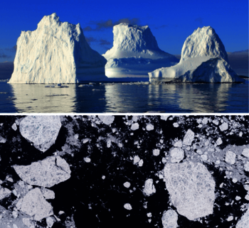 Iceberg photo and satellite image of the ice floes.
