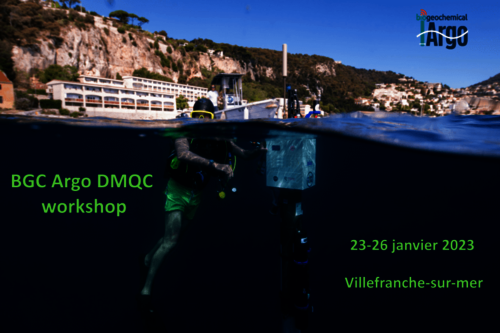 2023 BGC-Argo DMQC workshop