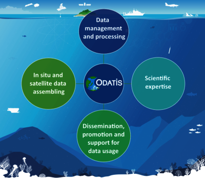ODATIS scientific objectives and scope 
