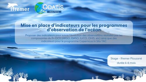 stage ODATIS Indicateurs pour les programmes d&rsquo;observation de l&rsquo;oc&eacute;an