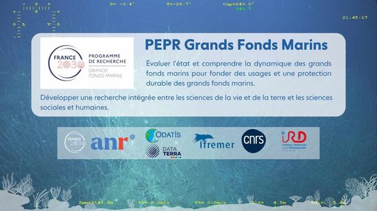 donn&eacute;es et &eacute;chantillons &raquo; du PEPR Grands Fonds Marins