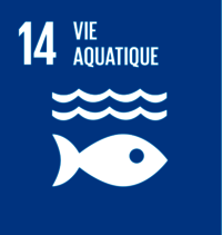 article 14 dédié aux océans des Objectifs de Développement Durable de l’ONU