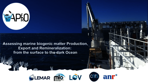 Campagne océanographique APERO (« Assessing marine biogenic matter Production, Export and Remineralization: from the surface to the dark Ocean”)