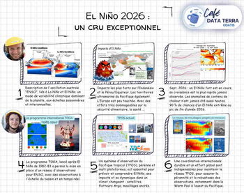 Café ODATIS : El Niño 2026, un cru exceptionnel Café ODATIS : El Niño 2026, un cru exceptionnel