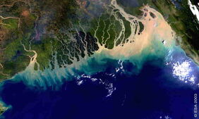 300-metre resolution MERIS image of the Ganges delta, India/Bangladesh. The image clearly shows the distribution of turbid suspended sediment in the coastal waters. CREDIT ESA