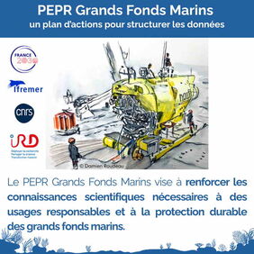 Grands fonds marins : plan d&rsquo;actions pour structurer les donn&eacute;es