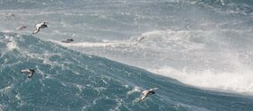 Photo prise dans la tempête par Christophe Cassou, à bord du Marion Dufresne, 21/02/2021