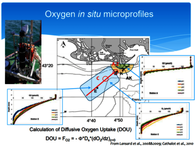 Mesures in situ d'oxygène dissous dans le delta du Rhône