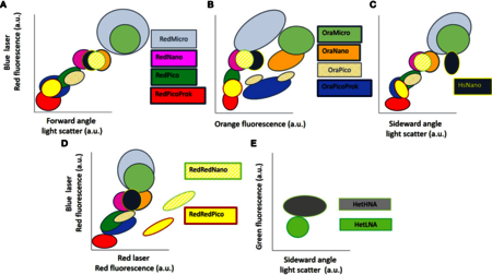 Cytogrammes avec groupes identifiés appartenant au procaryotes et eucaryotes autotrophes et aux procaryotes hétérotrophes