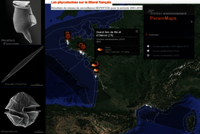 carte interactive sur ENVLIT IFREMER pour le réseau de surveillance REPHYTOX des toxines sur le littoral