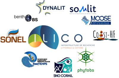 Réseaux élémentaires de l'IR ILICO