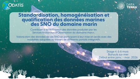 Stage ODATIS à Banyuls sur mer - Standardisation, homogénéisation et qualification des données