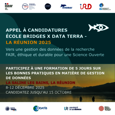 Ecole BRIDGES x DATA TERRA - La Réunion 2025