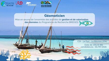 Offre de poste - Géomaticien pour le PEPR BRIDGES