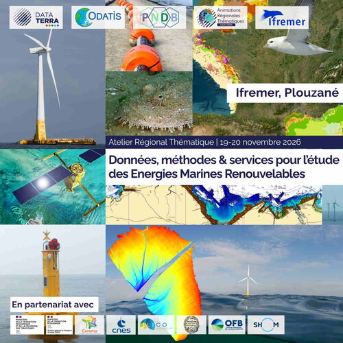 Atelier Thématique ART ODATIS : Données, Méthodes et Services pour l'étude des Energies Renouvelables en Mer