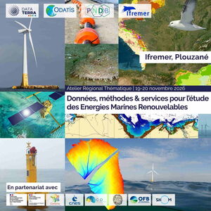 Atelier Thématique ART ODATIS - PNDB : Données, Méthodes et Services pour l'étude des Energies Renouvelables en Mer