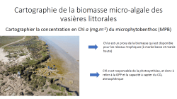 Présentation de Vona Meleder: Cartographie de la biomasse micro-algale des vasières littorales