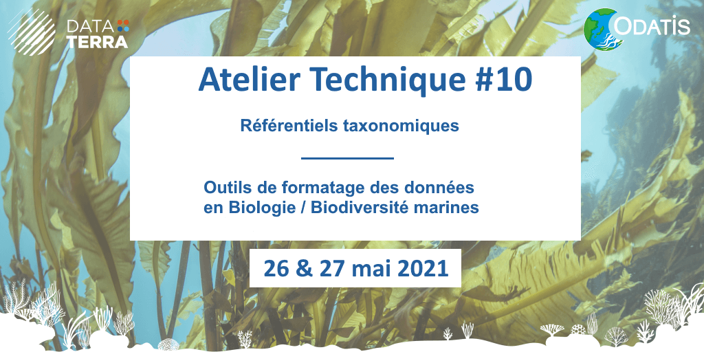 Atelier technique du pôle Océan ODATIS sur les référentiels taxonomiques et Outils de formatage données BIO/BIODIV