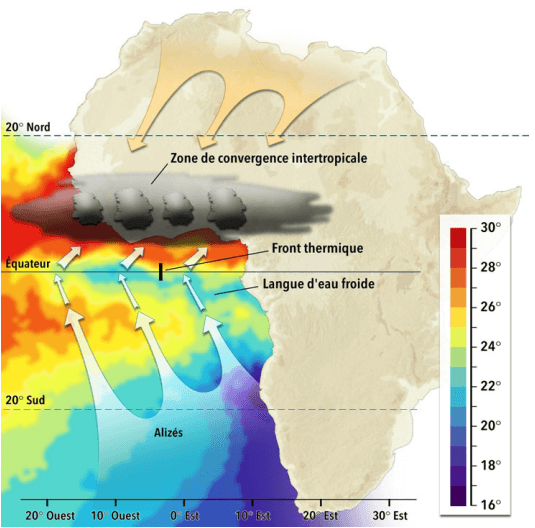 African Monsoon