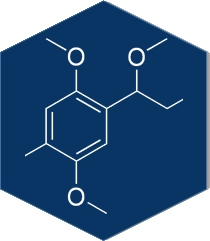 Marine biogeochemistry