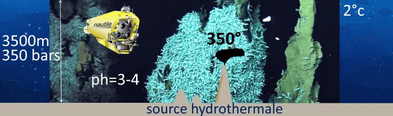 schéma des conditions biogéochimiques près des sources hydrothermales
