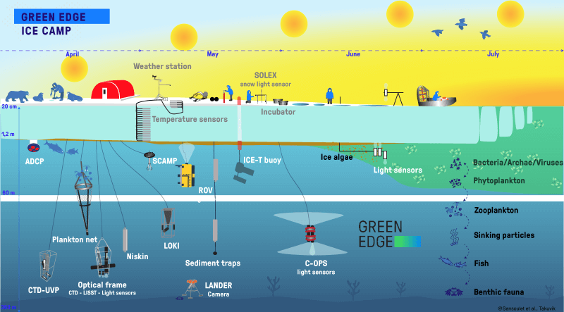 Infographie Green Edge montrant les méthodes de collecte des mesures in situ