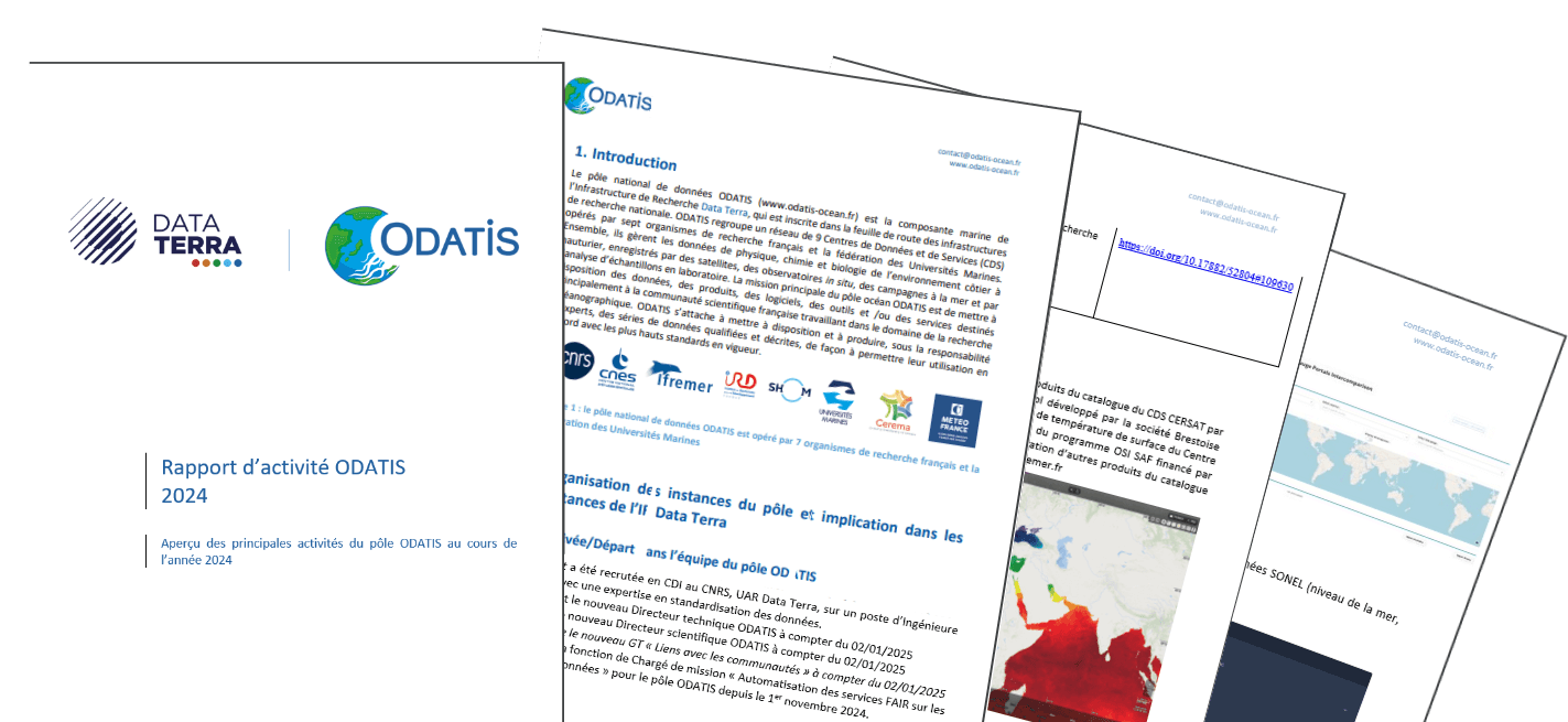 Rapport d'activités annuel du pôle ODATIS
