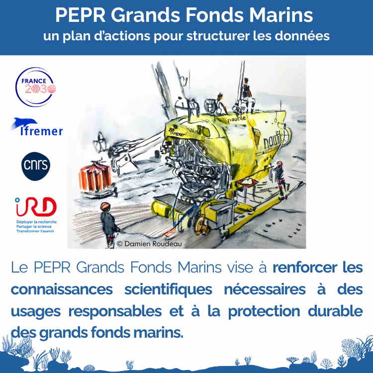 Grands fonds marins : plan d&rsquo;actions pour structurer les donn&eacute;es