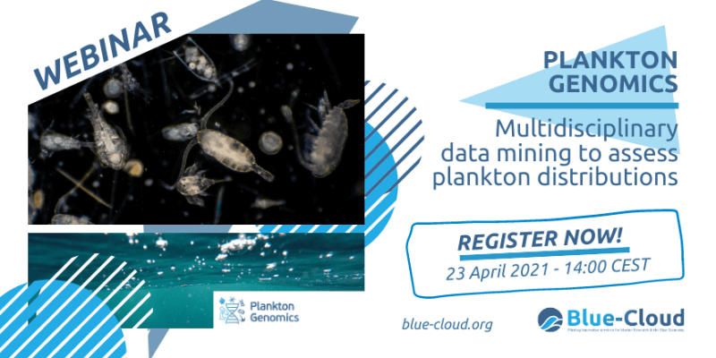 webinaire Blue-Cloud sur l'étude du plancton à l'échelle du génome